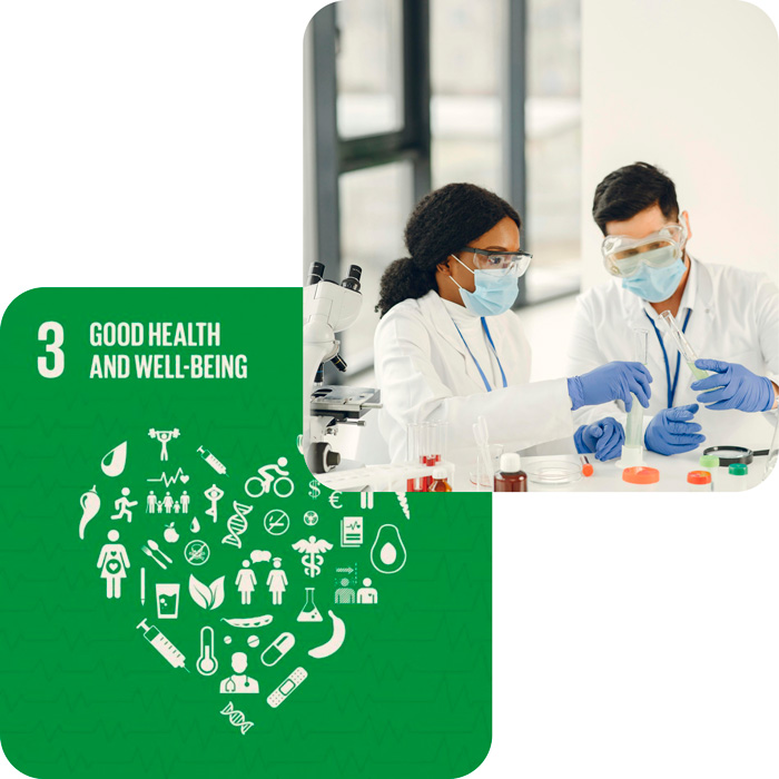 sdg goal